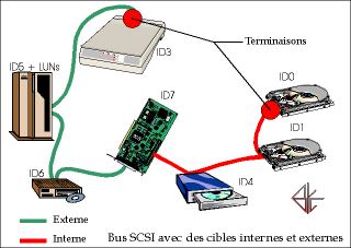Bus SCSI paral